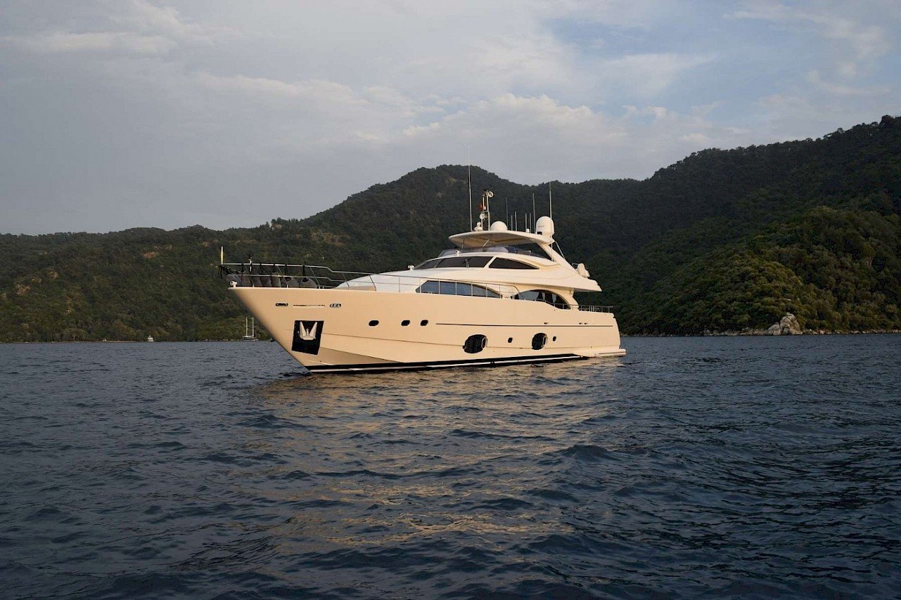SEA LION LL